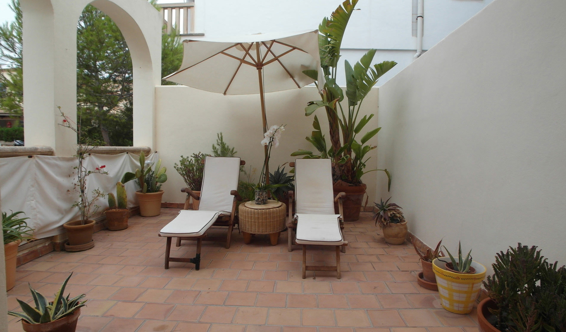 Terrasse in Mediterranem Stil mit vielen Grünpflanzen